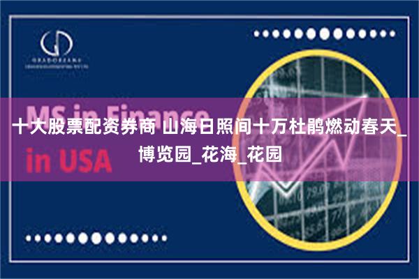 十大股票配资券商 山海日照间十万杜鹃燃动春天_博览园_花海_花园