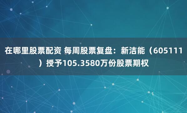 在哪里股票配资 每周股票复盘：新洁能（605111）授予105.3580万份股票期权