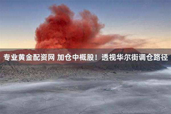 专业黄金配资网 加仓中概股！透视华尔街调仓路径