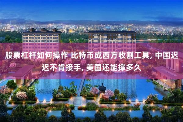 股票杠杆如何操作 比特币成西方收割工具, 中国迟迟不肯接手, 美国还能撑多久