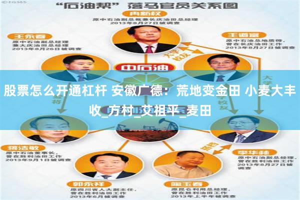 股票怎么开通杠杆 安徽广德：荒地变金田 小麦大丰收_方村_艾祖平_麦田
