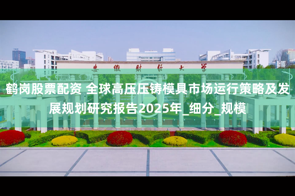 鹤岗股票配资 全球高压压铸模具市场运行策略及发展规划研究报告2025年_细分_规模