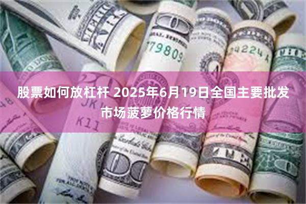 股票如何放杠杆 2025年6月19日全国主要批发市场菠萝价格行情