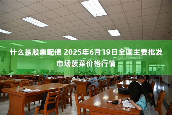 什么是股票配债 2025年6月19日全国主要批发市场菠菜价格行情