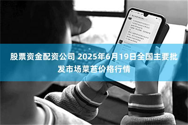 股票资金配资公司 2025年6月19日全国主要批发市场菜苔价格行情